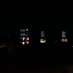 'The Seafloor' (left side) (Into the Deep)