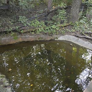 Cypress Swamp - Former Alligator Snapping Turtle Exhibit