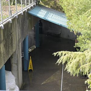 Rocky Coast - Standing Water in lower pathway