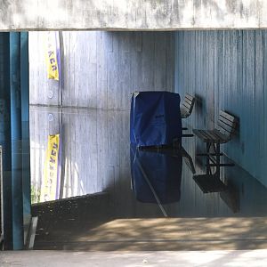 Rocky Coast - Standing Water in lower pathway
