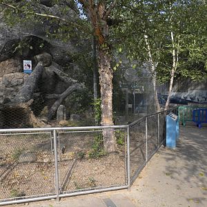 Rocky Coast - The New New Arctic Fox fencing