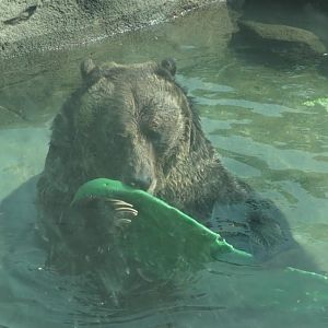 Hmm smells a little pickley