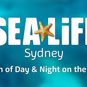 6 minute video of the Day & on the Reef