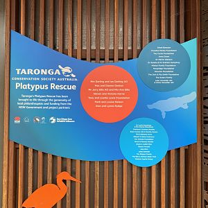 Platypus House Sponsors Sign