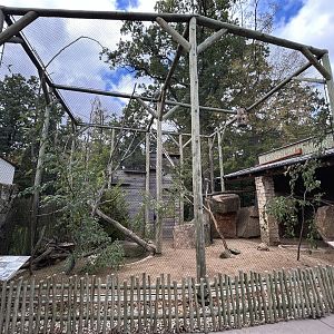 African Mixed-species Aviary