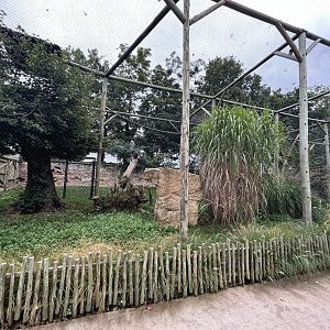 Crowned Eagle Aviary