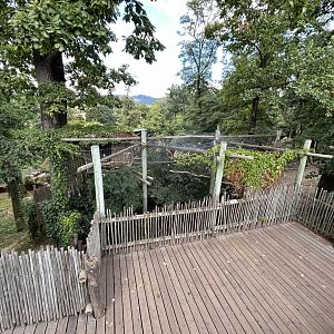 Verreaux’s Eagle Owl Aviary