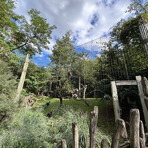 African Mixed-species Aviary