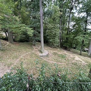 Spotted Hyena Exhibit