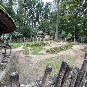 Somali Sheep Exhibit