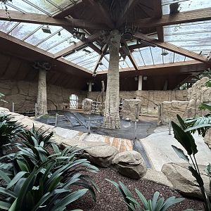 Indoor Malayan Tapir Exhibit