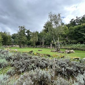 Malayan Tapir Exhibit
