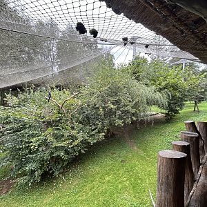 African Walk-in Aviary