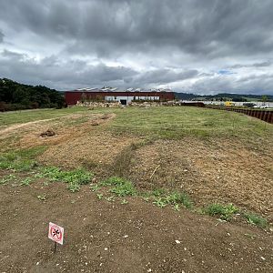 African Elephant Exhibit #2