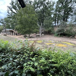 White Rhino & Nile Lechwe Exhibit