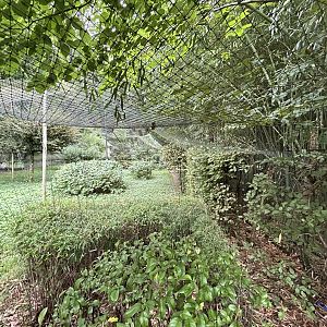 Red-crowned Crane Exhibit #1