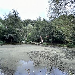 Moloch’s Gibbon & Great White Pelican Exhibit