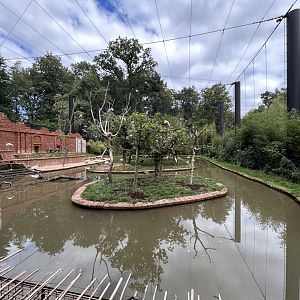 Asian Walk-in Aviary