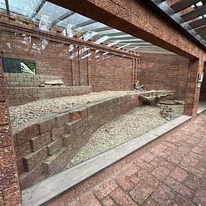 Indoor Sloth Bear Exhibit