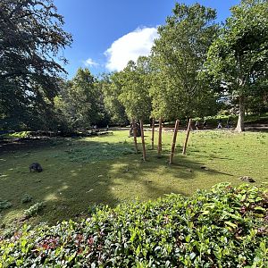 Bennett’s Wallaby & Emu Exhibit