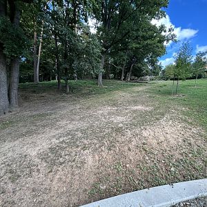 South American Tapir & Mara Exhibit