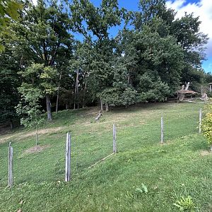 South American Tapir & Mara Exhibit