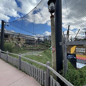 Andean Condor & Military Macaw Exhibit
