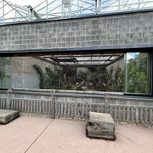 Toco Toucan, Southern Screamer, & Black-legged Seriema Exhibit
