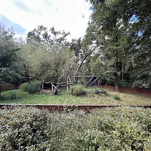 Giant Anteater Exhibit