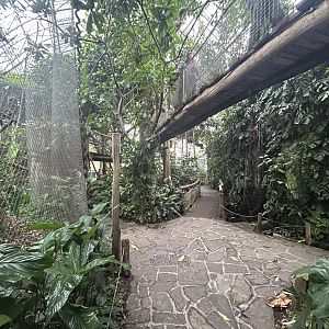 Yucatan Tropical House