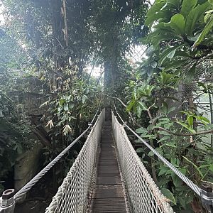 Yucatan Tropical House