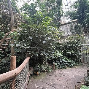 Yucatan Tropical House