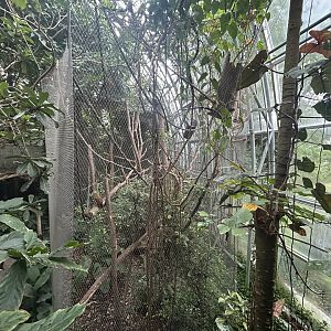 Yucatan Tropical House