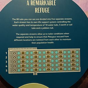 Platypus Refuge Signage