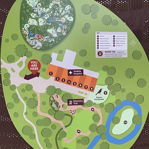 Wildlife Hospital Map