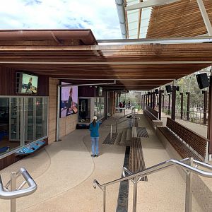 Wildlife Hospital Viewing Area