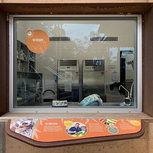 Wildlife Hospital - Nutrition