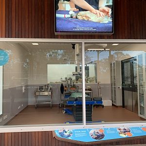 Wildlife Hospital - Operating Theatre Viewing Window