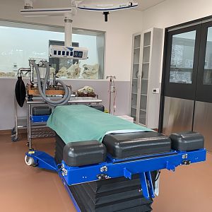 Wildlife Hospital - Operating Theatre