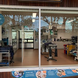 Wildlife Hospital - Treatment Room Viewing Window