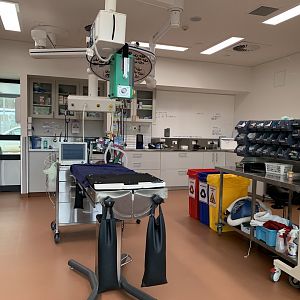 Wildlife Hospital - Treatment Room