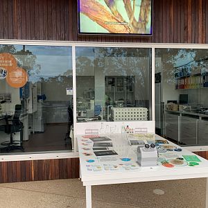 Wildlife Hospital - Research and Clinical Lab