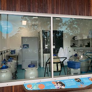 Wildlife Hospital - Cryodiversity Bank
