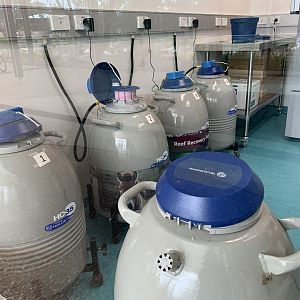 Wildlife Hospital - Cryodiversity Bank Tanks
