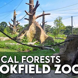 NEW Tropical Forests | Zoo Tours