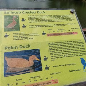 The Breeze BSD City - Waterfowl Signage