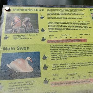 The Breeze BSD City - Waterfowl Signage