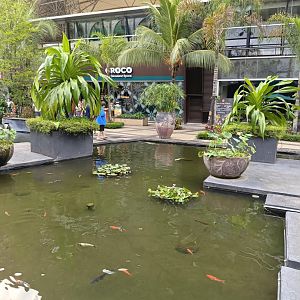 The Breeze BSD City - Koi Pond