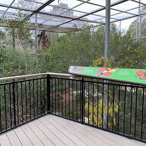 Regent Honeyeater Aviary Viewing Platform
