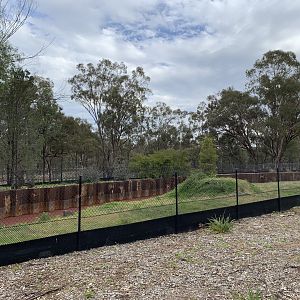 Platypus Pre-release Area